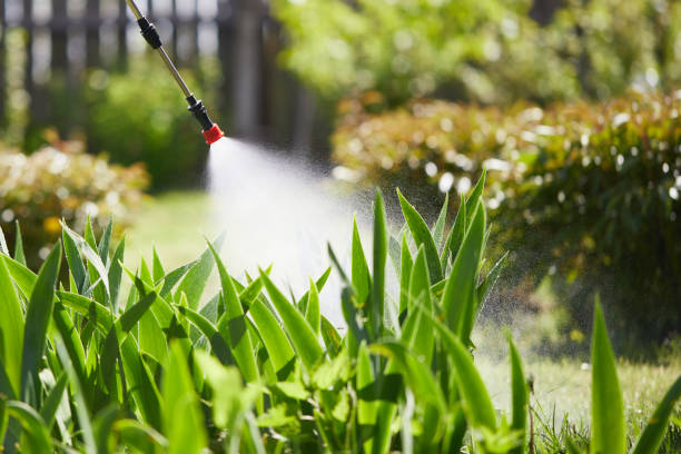 24/7 Emergency Termite Control experts in Wilder, VT
